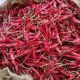 Dried Red Chili Whole