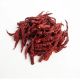 Kashmiri Chilies