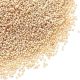 Poppy Seeds 