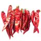 Red Chili